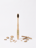 brosse à dents en bois hêtre français Alkimia