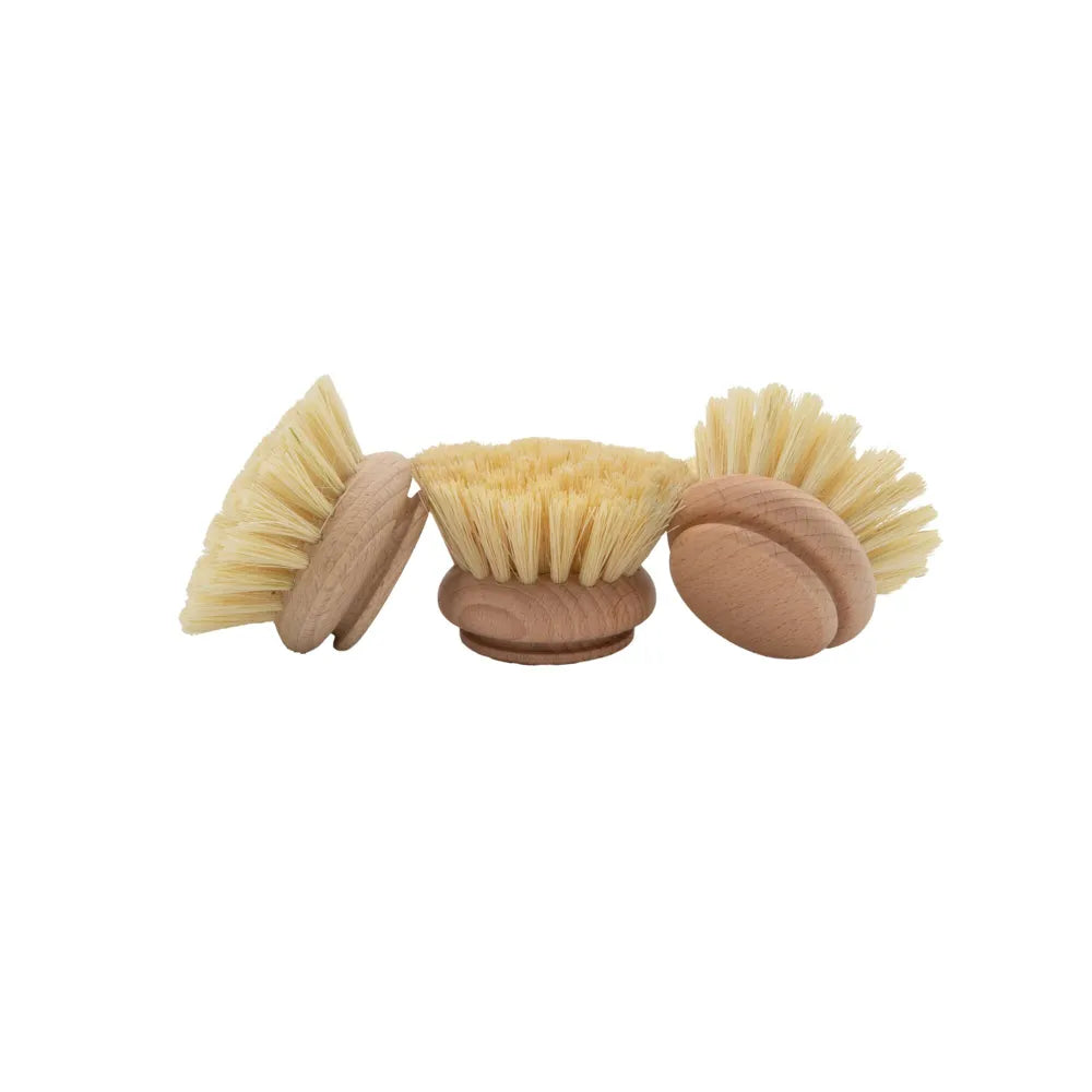 Recharge Brosse Vaisselle (Bois & Tampico)