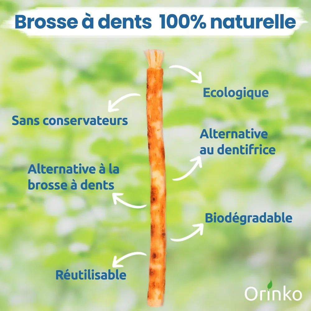 Bâtons de Siwak Naturels — Brosse à Dents 100 % Végétale (Lot de 2)