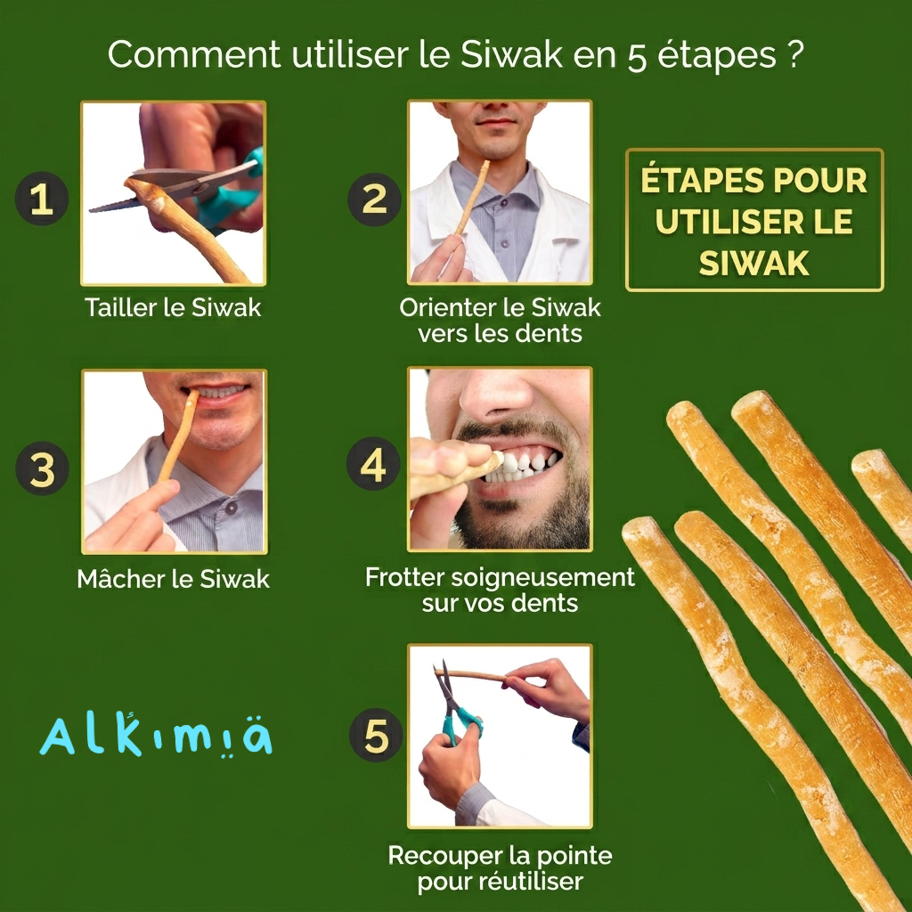 Bâtons de Siwak Naturels — Brosse à Dents 100 % Végétale (Lot de 2)